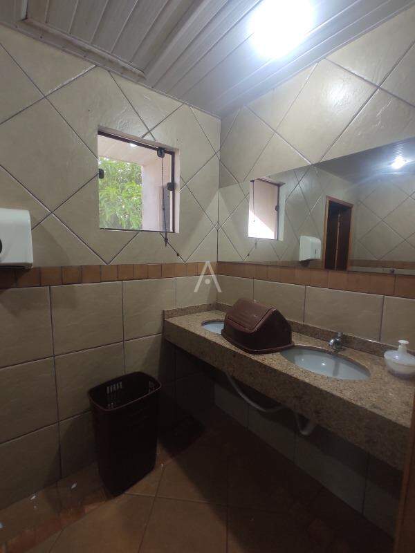 Sala Comercial para para aluguel no Bairro CENTRO em TOLEDO: 