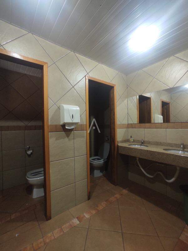 Sala Comercial para para aluguel no Bairro CENTRO em TOLEDO: 