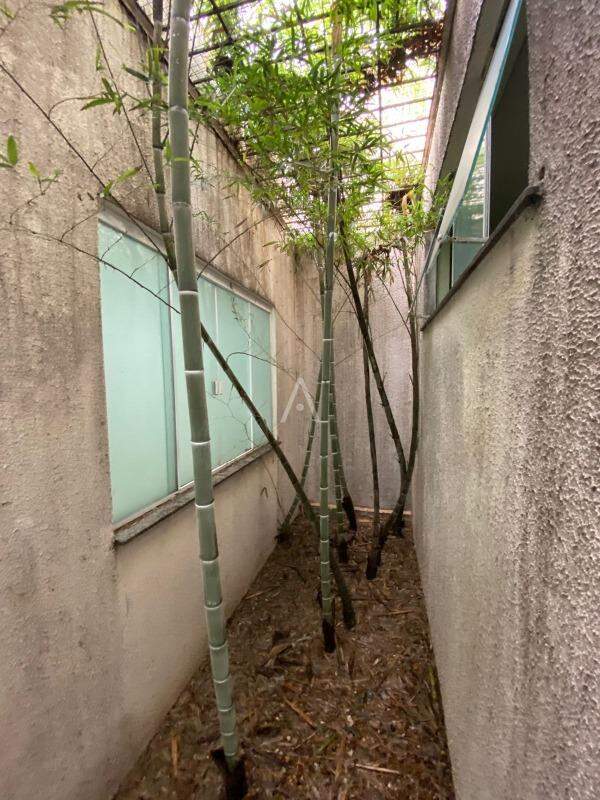 Sala Comercial para para aluguel no Bairro CENTRO em CASCAVEL: 