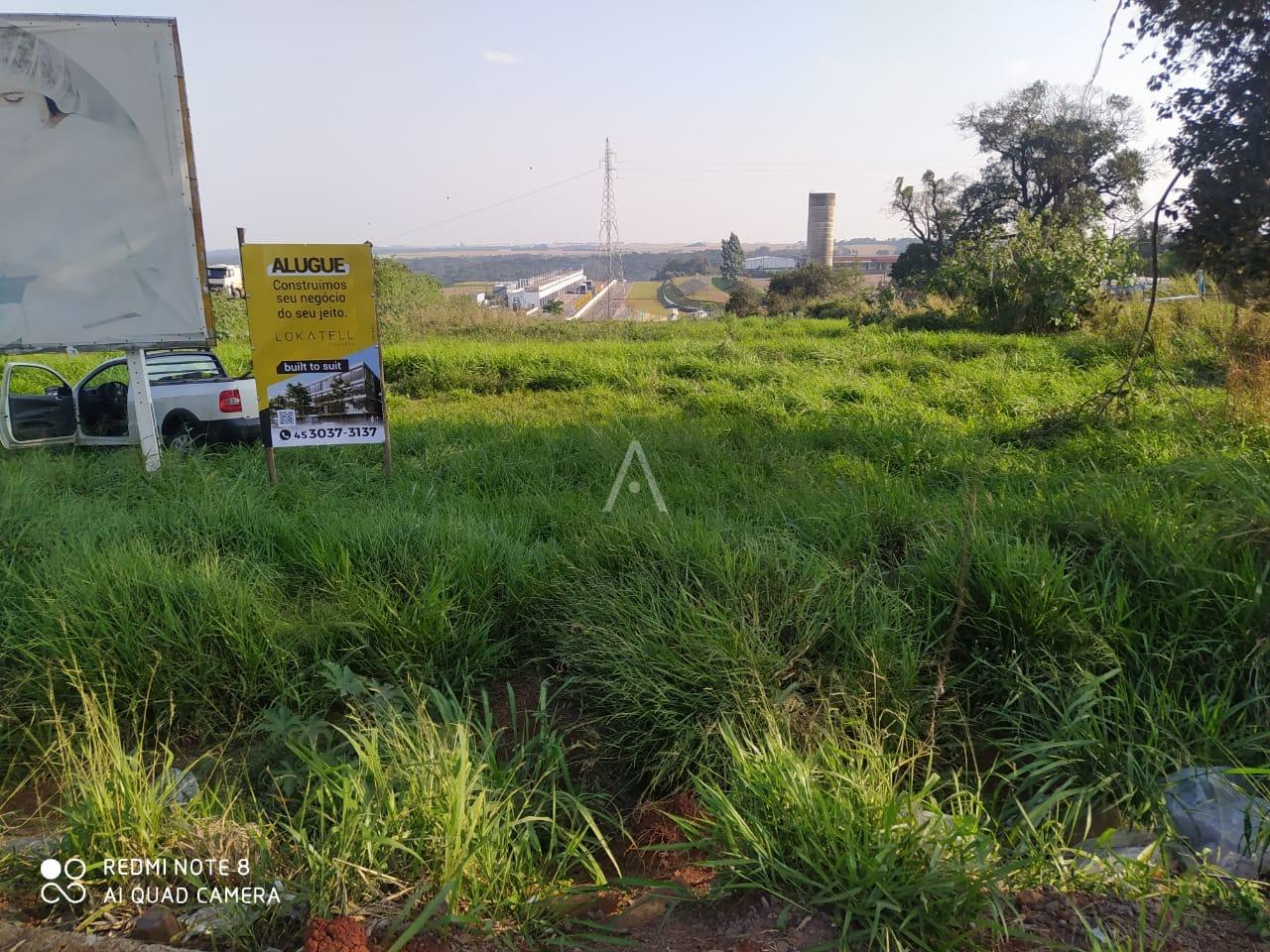 BTS para para aluguel no Bairro CATARATAS em CASCAVEL: 