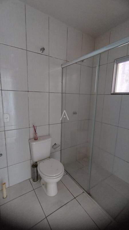 Apartamento para para aluguel no Bairro SAO FRANCISCO em TOLEDO: