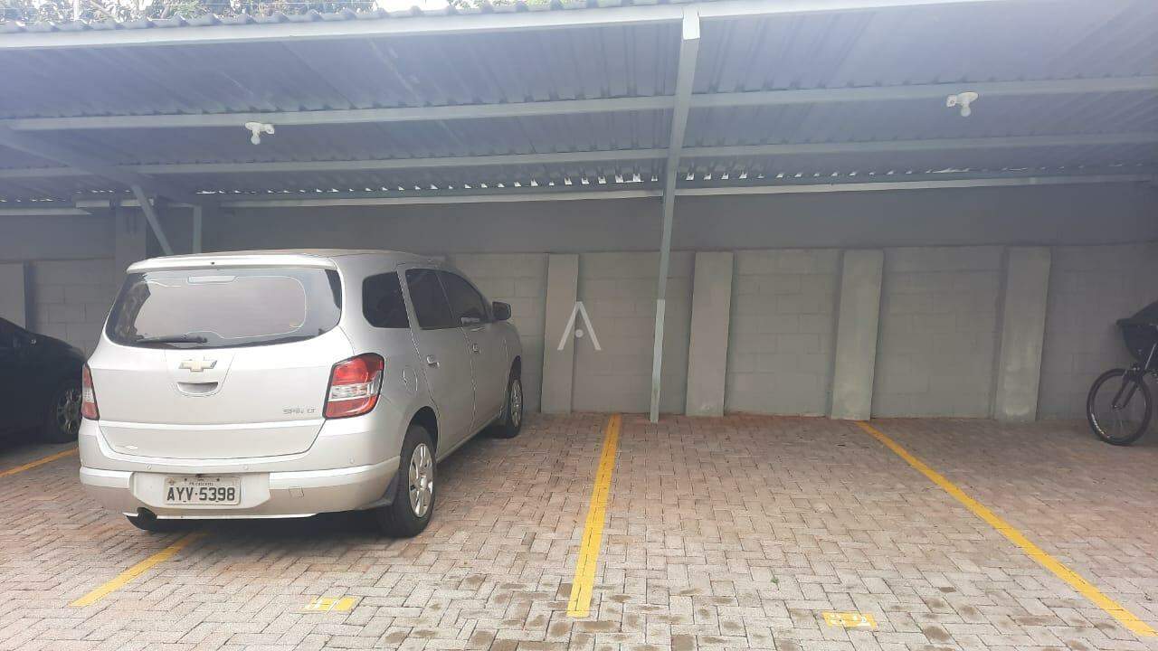 Apartamento para para aluguel no Bairro MARIA LUIZA em CASCAVEL: 