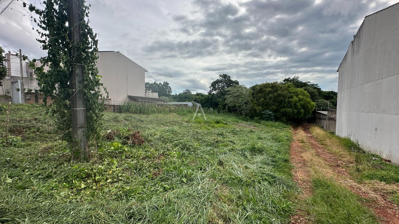 Terreno para à venda no Bairro RECANTO TROPICAL em CASCAVEL: 