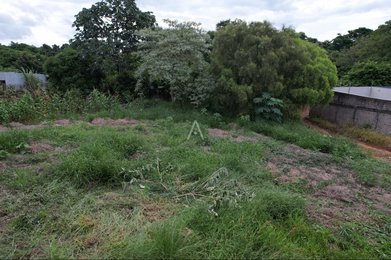 Terreno para à venda no Bairro RECANTO TROPICAL em CASCAVEL: 