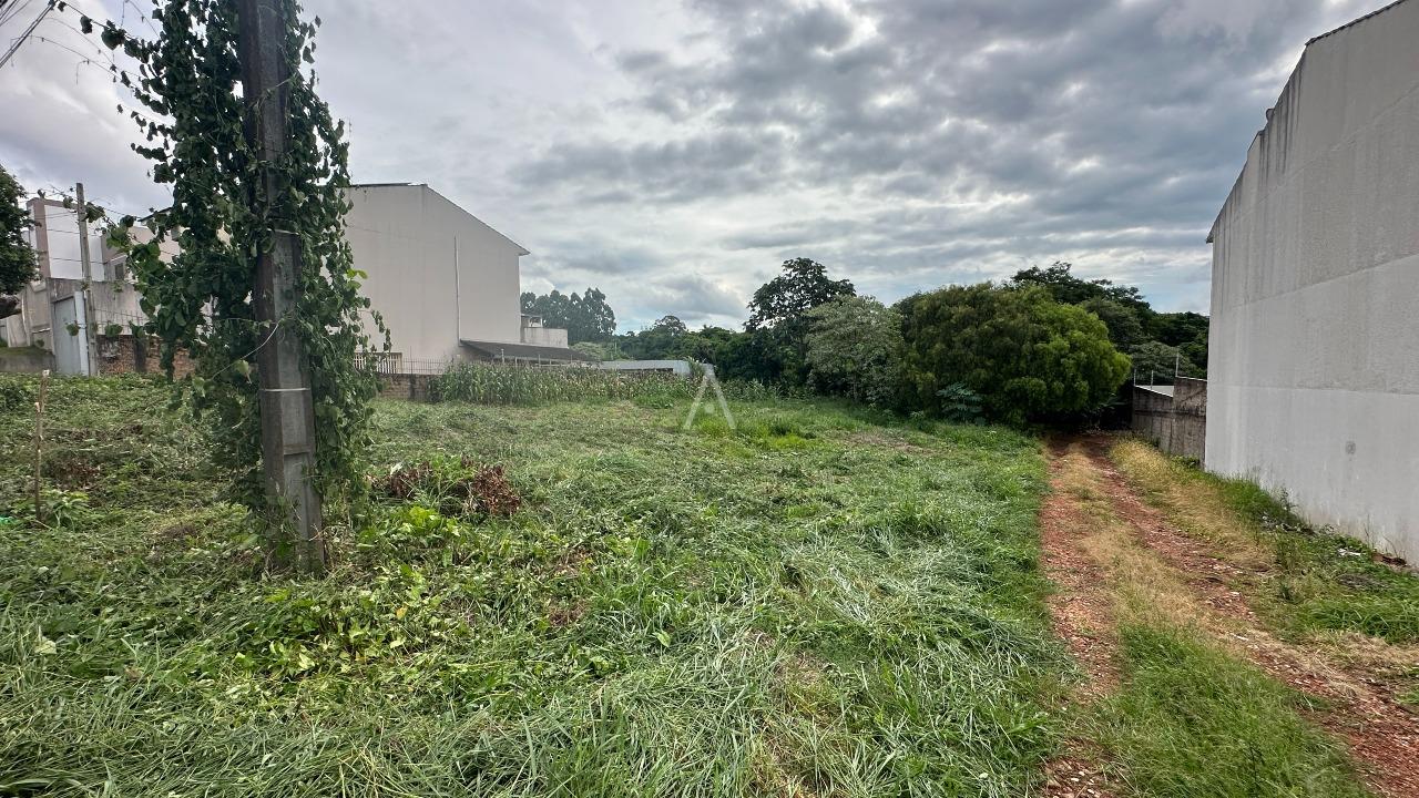 Terreno para à venda no Bairro RECANTO TROPICAL em CASCAVEL: 