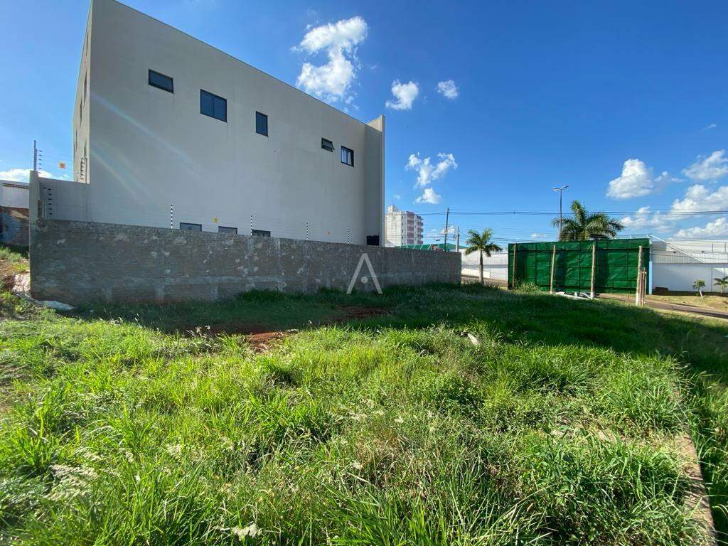 Terreno para para aluguel no Bairro SANTA CRUZ em CASCAVEL: 