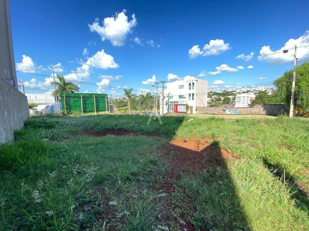 Terreno para para aluguel no Bairro SANTA CRUZ em CASCAVEL: 