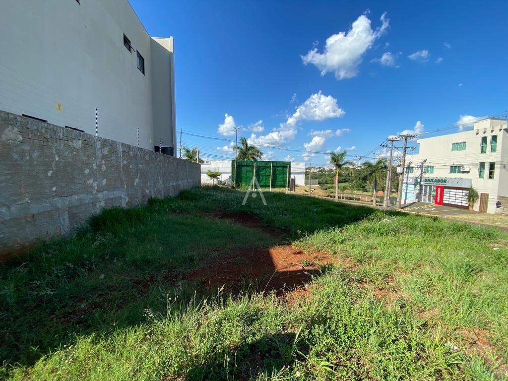 Terreno para para aluguel no Bairro SANTA CRUZ em CASCAVEL: 
