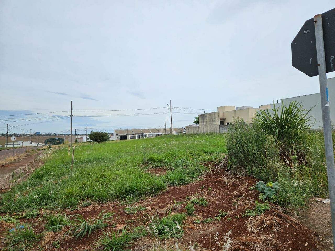Terreno para à venda no Bairro MORUMBI em CASCAVEL: