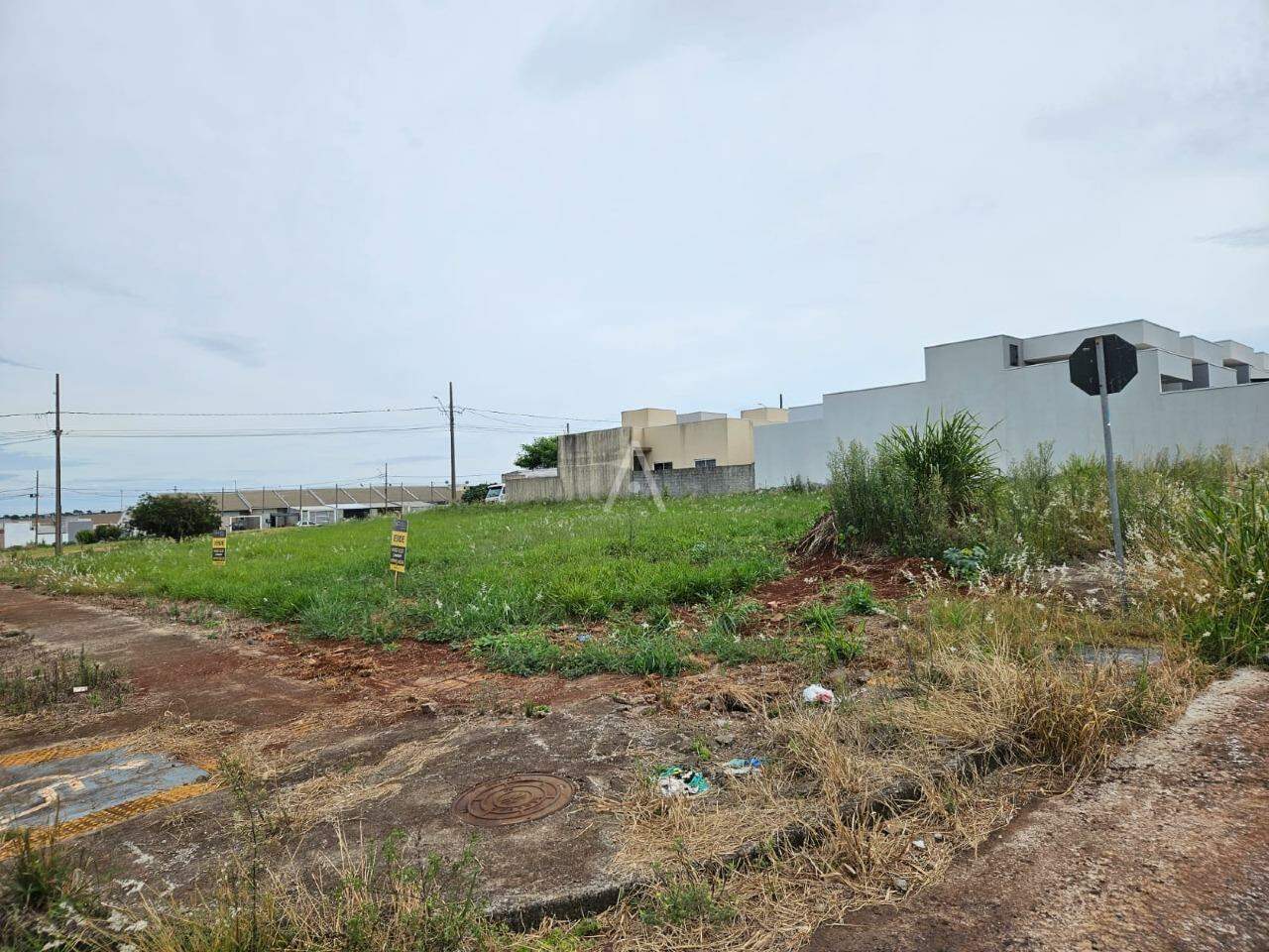 Terreno para à venda no Bairro MORUMBI em CASCAVEL: 