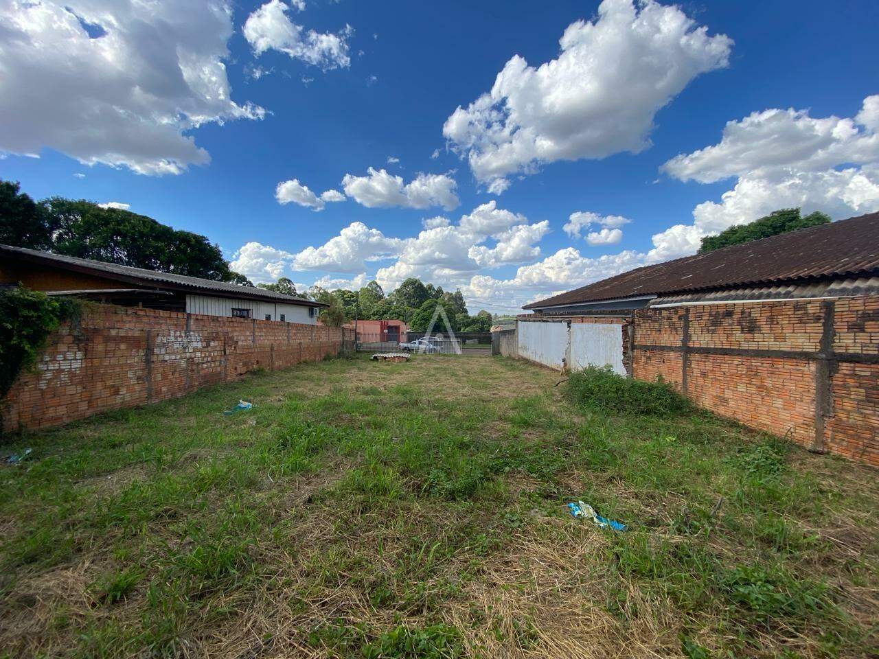 Terreno para para aluguel no Bairro CANCELLI em CASCAVEL: 