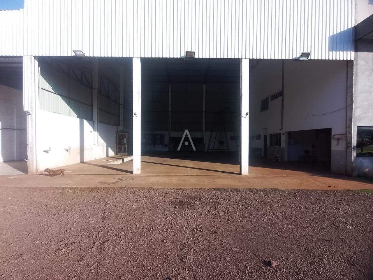 Barracão Comercial para para aluguel no Bairro ZONA RURAL em TOLEDO: 