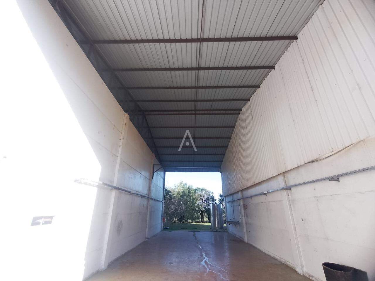 Barracão Comercial para para aluguel no Bairro ZONA RURAL em TOLEDO: 