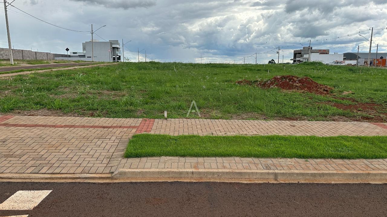Terreno para à venda no Bairro Vista Linda em CASCAVEL: 