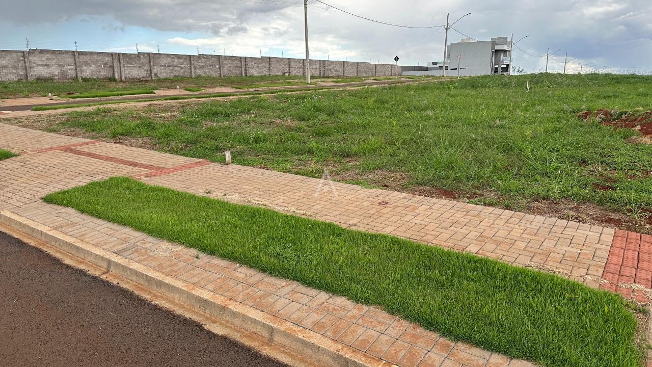 Terreno para à venda no Bairro Vista Linda em CASCAVEL: 