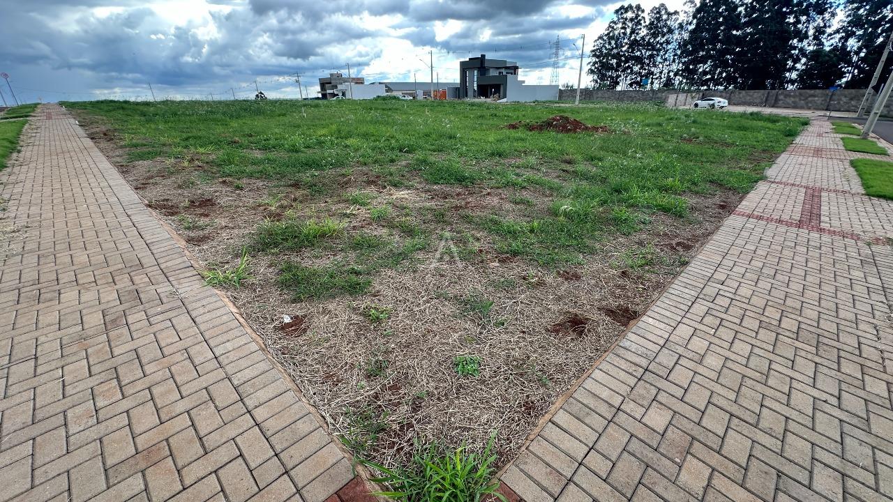 Terreno para à venda no Bairro Vista Linda em CASCAVEL: