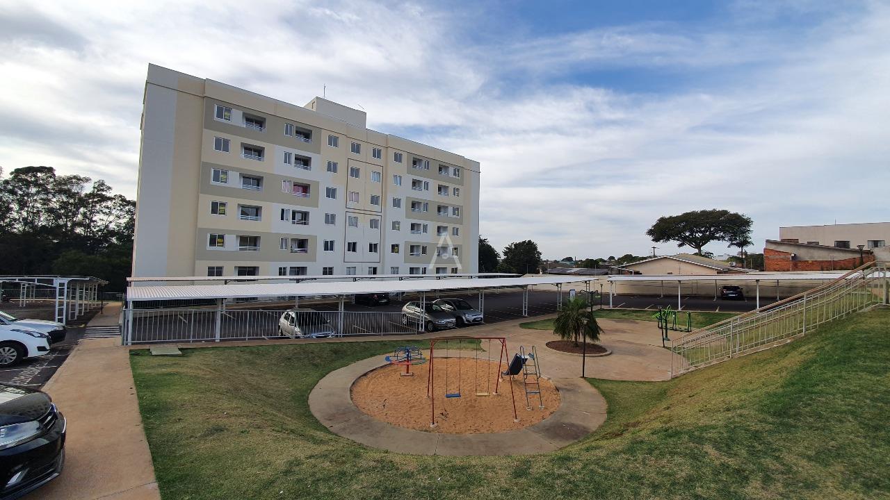 Apartamento para para aluguel no Bairro UNIVERSITARIO em CASCAVEL: