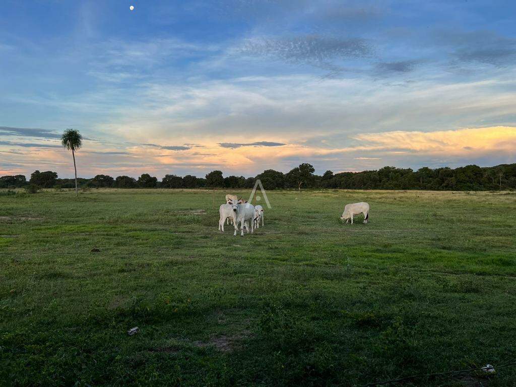 Imóveis Rurais para à venda no Bairro ZONA RURAL em ITIQUIRA: 