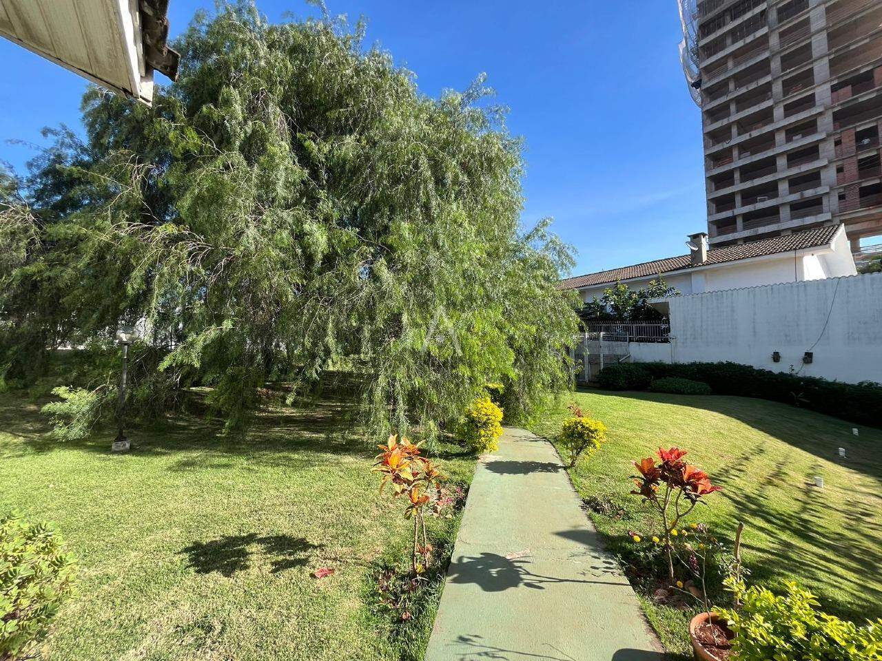 Terreno para à venda no Bairro CENTRO em CASCAVEL: 