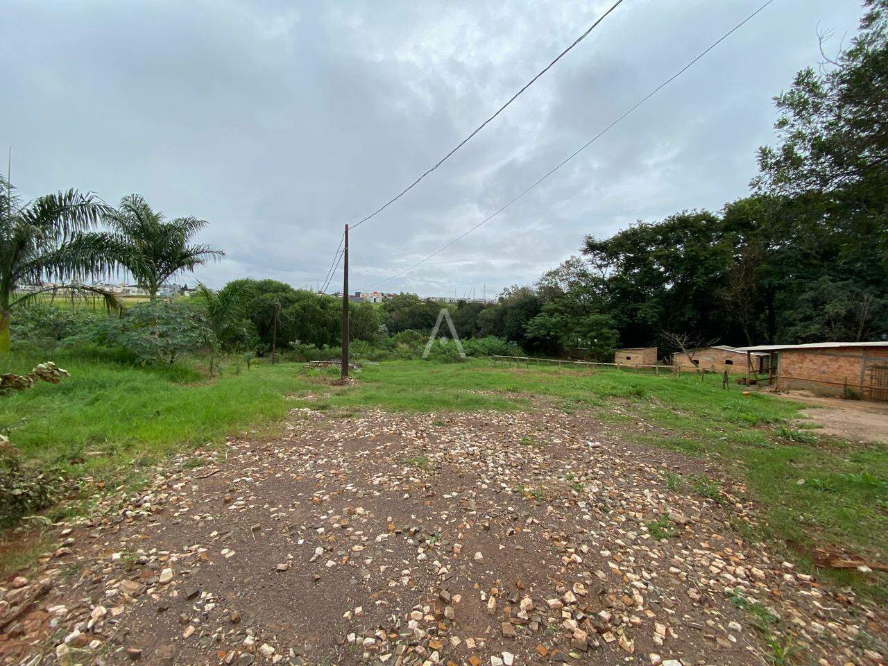 Terreno para à venda no Bairro PARQUE VERDE em CASCAVEL: 