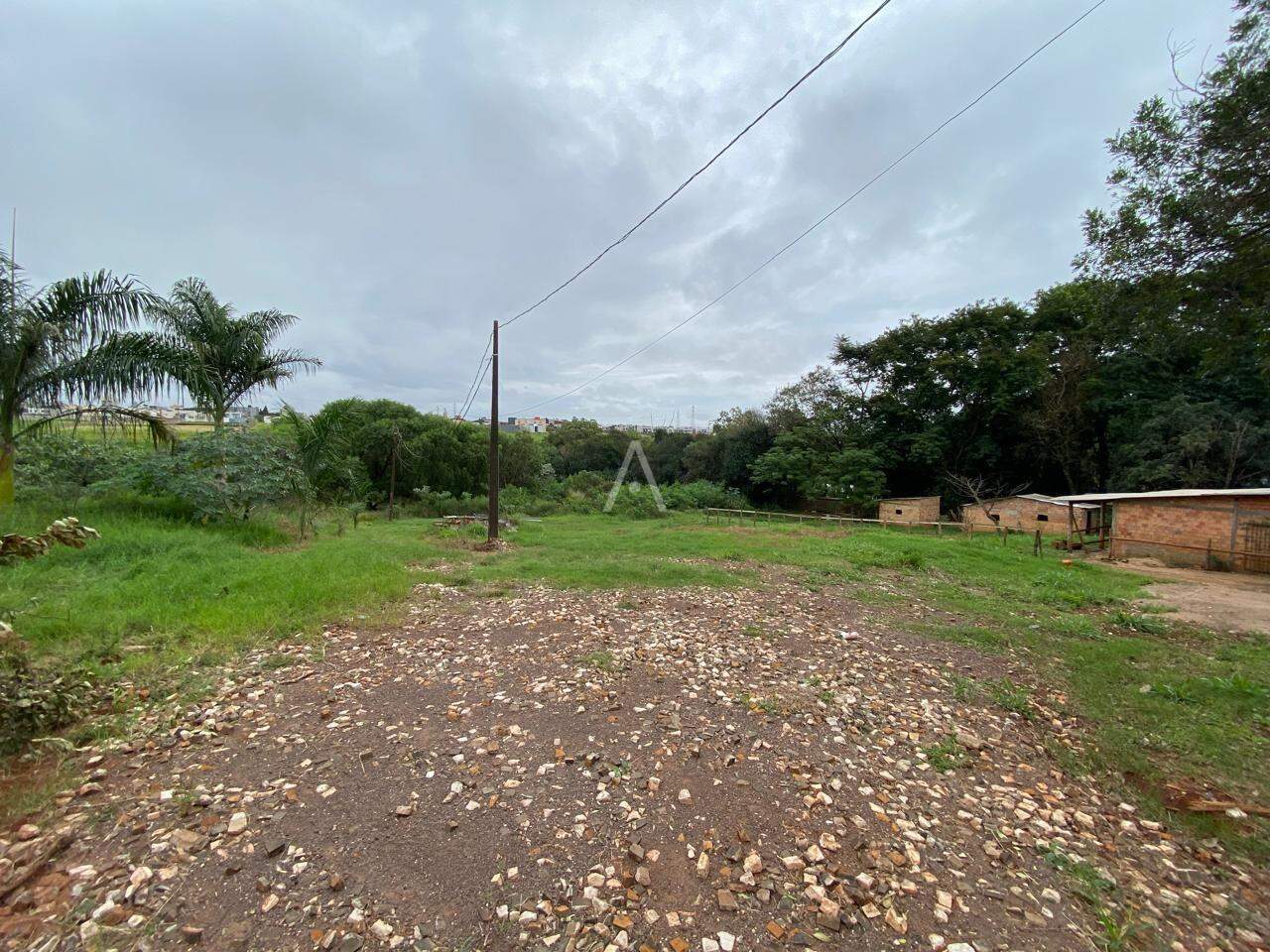 Terreno para para aluguel no Bairro PARQUE VERDE em CASCAVEL: 
