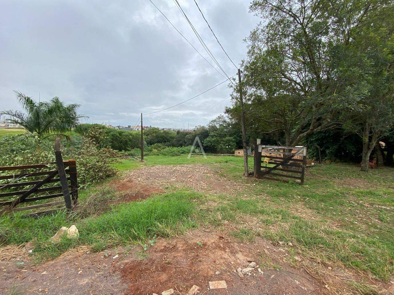 Terreno para para aluguel no Bairro PARQUE VERDE em CASCAVEL: 