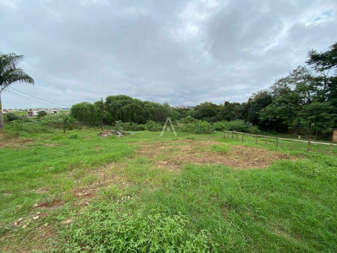 Terreno para para aluguel no Bairro PARQUE VERDE em CASCAVEL: 