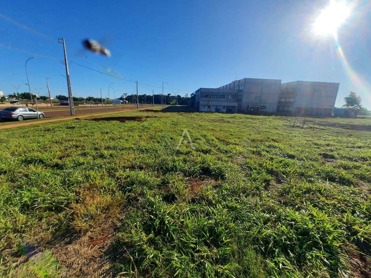 Terreno para à venda no Bairro BIOPARK em TOLEDO:
