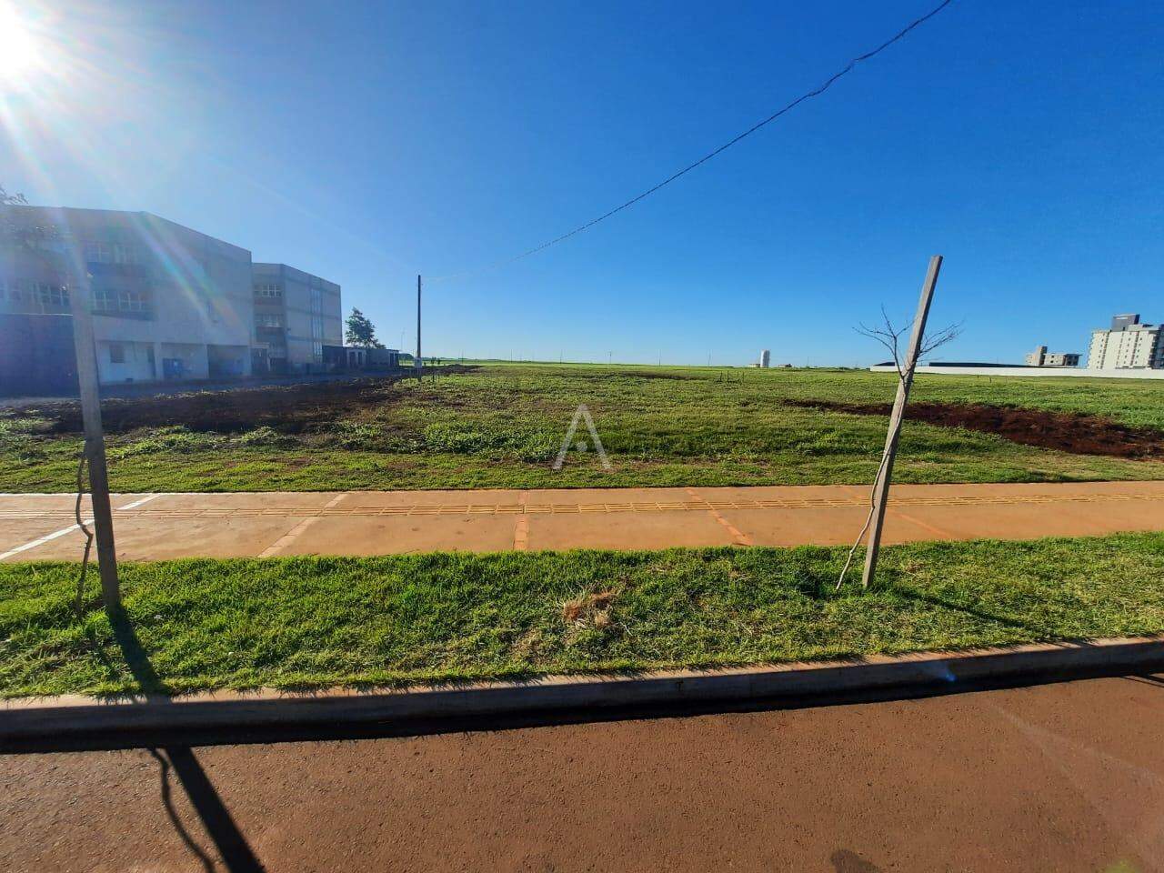 Terreno para à venda no Bairro BIOPARK em TOLEDO: