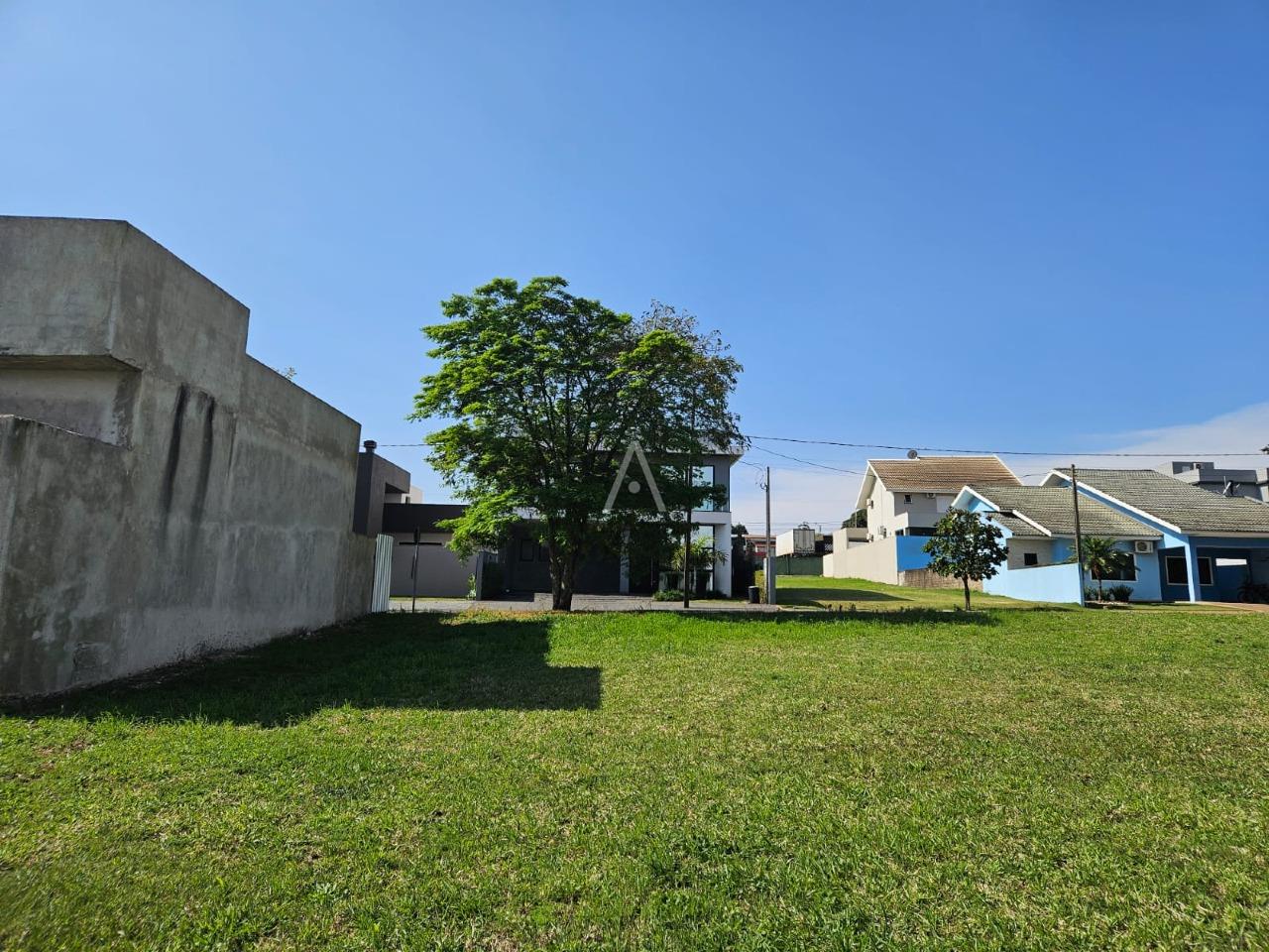 Terreno para à venda no Bairro CASCAVEL VELHO em CASCAVEL: 