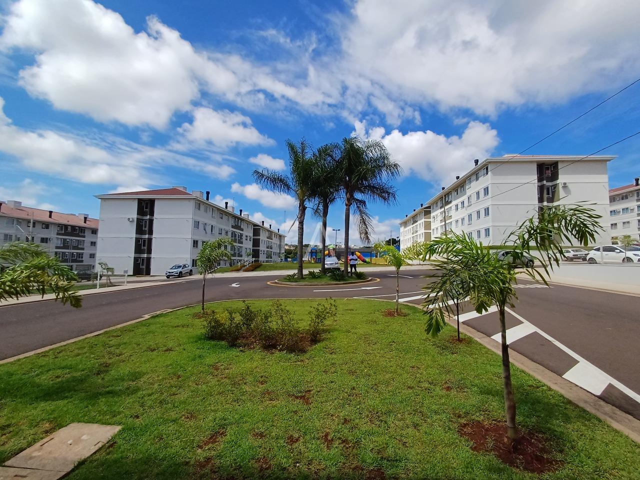 Apartamento para para aluguel no Bairro BRASILIA em CASCAVEL: 