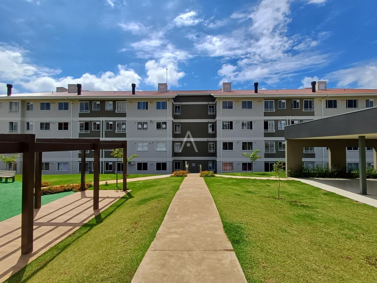 Apartamento para para aluguel no Bairro BRASILIA em CASCAVEL: 