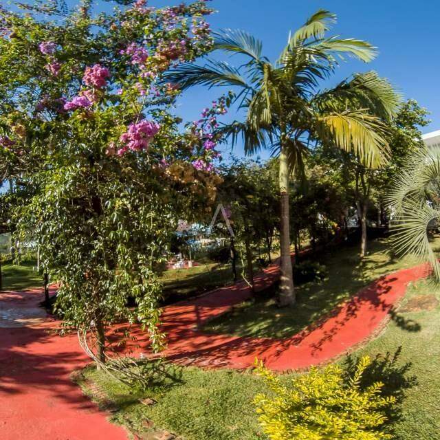 Imóveis Rurais para à venda no Bairro AREA RURAL em TRES BARRAS DO PARANA: 