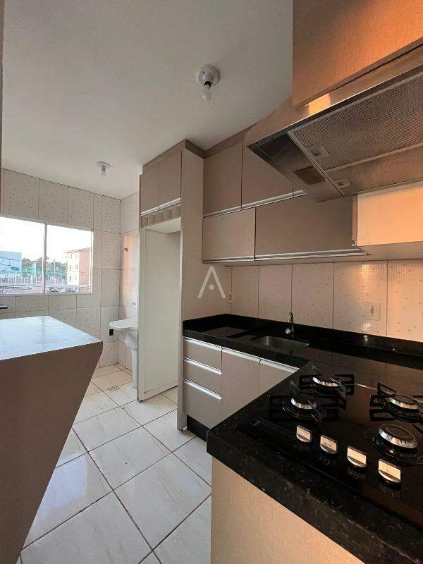 Apartamento para para aluguel no Bairro SAO FRANCISCO em TOLEDO: 