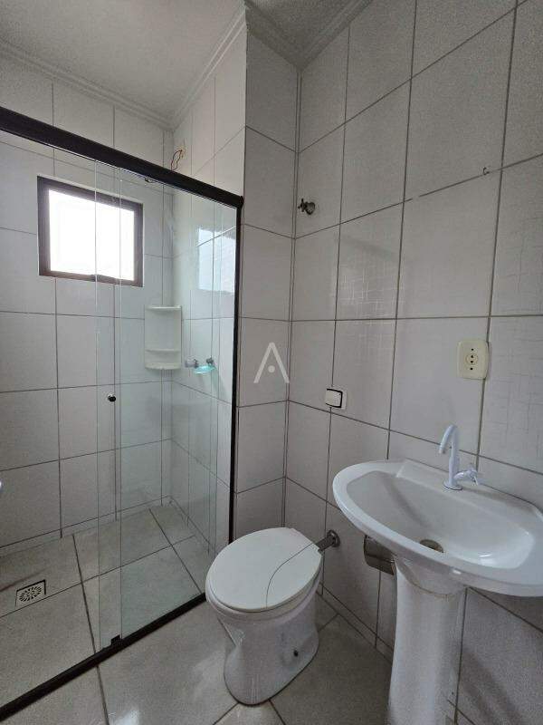 Apartamento para para aluguel no Bairro CENTRO em TOLEDO: