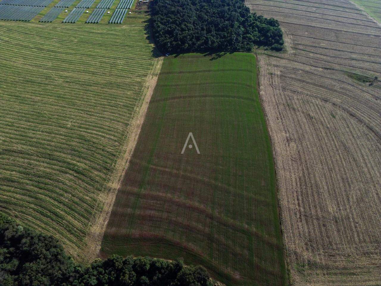 Imóveis Rurais para à venda no Bairro Área rural em CASCAVEL: