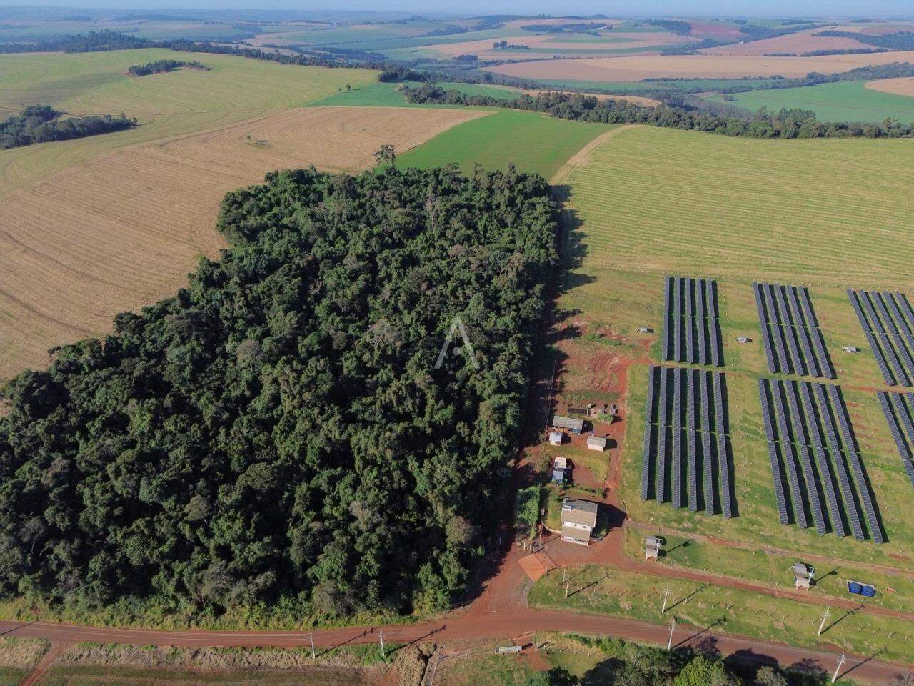 Imóveis Rurais para à venda no Bairro Área rural em CASCAVEL: 