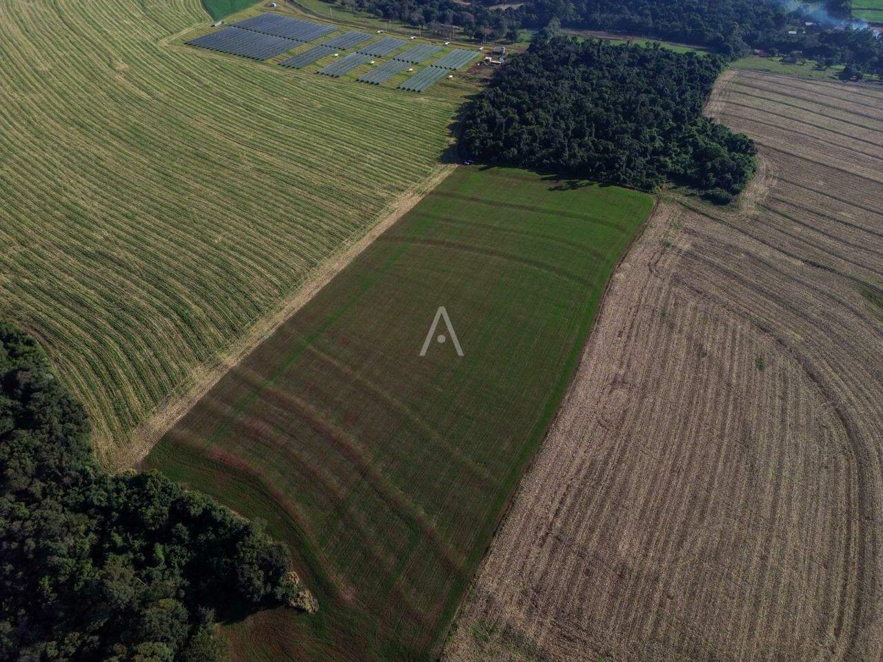Imóveis Rurais para à venda no Bairro Área rural em CASCAVEL: