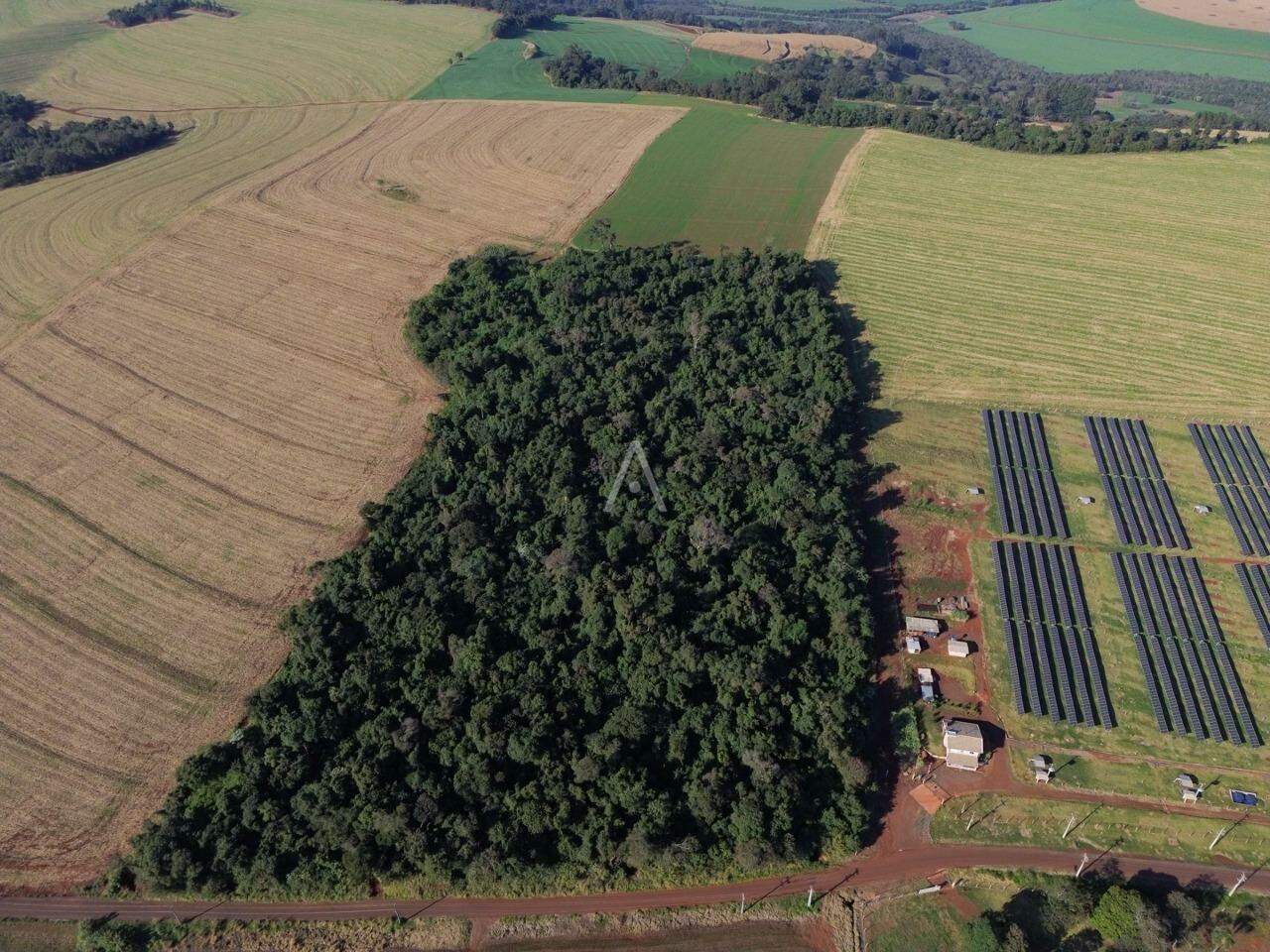 Imóveis Rurais para à venda no Bairro Área rural em CASCAVEL: