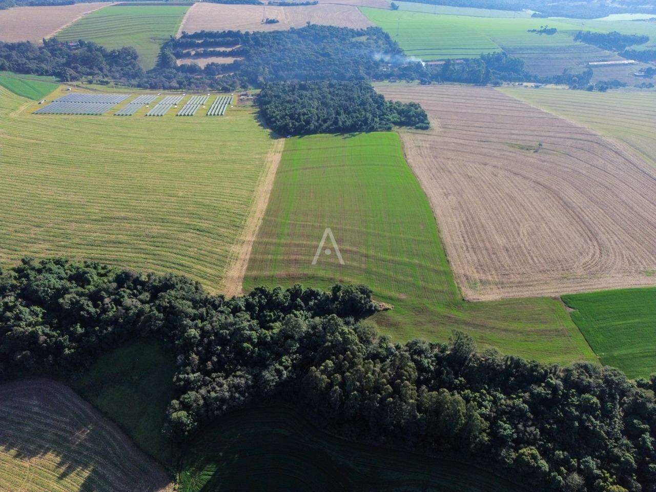 Imóveis Rurais para à venda no Bairro Área rural em CASCAVEL: 