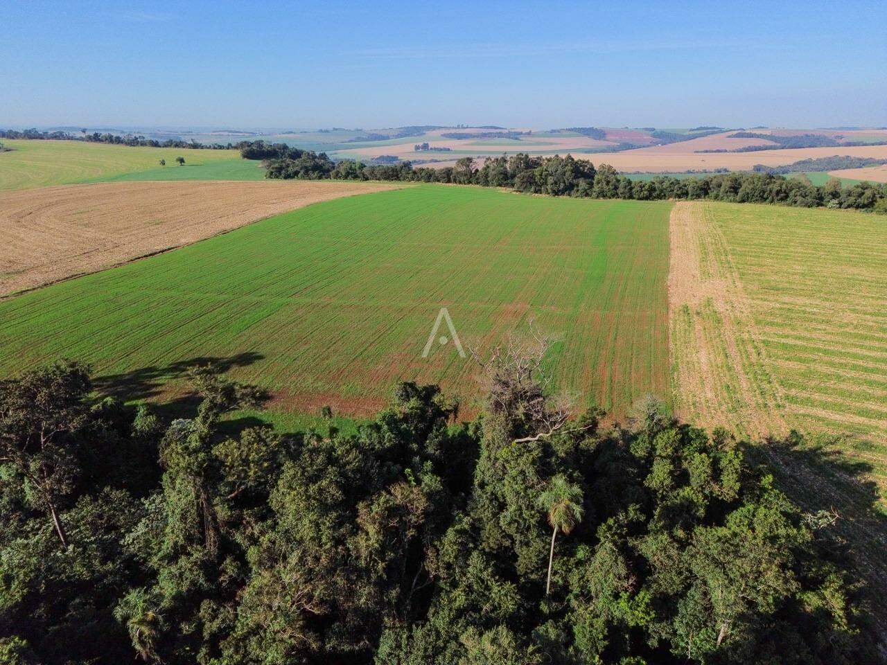 Imóveis Rurais para à venda no Bairro Área rural em CASCAVEL: 