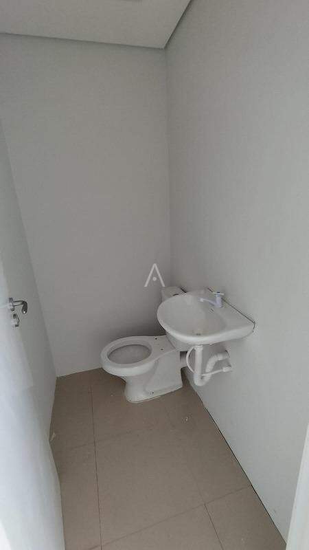 Sala Comercial para para aluguel no Bairro CENTRO em TOLEDO: 