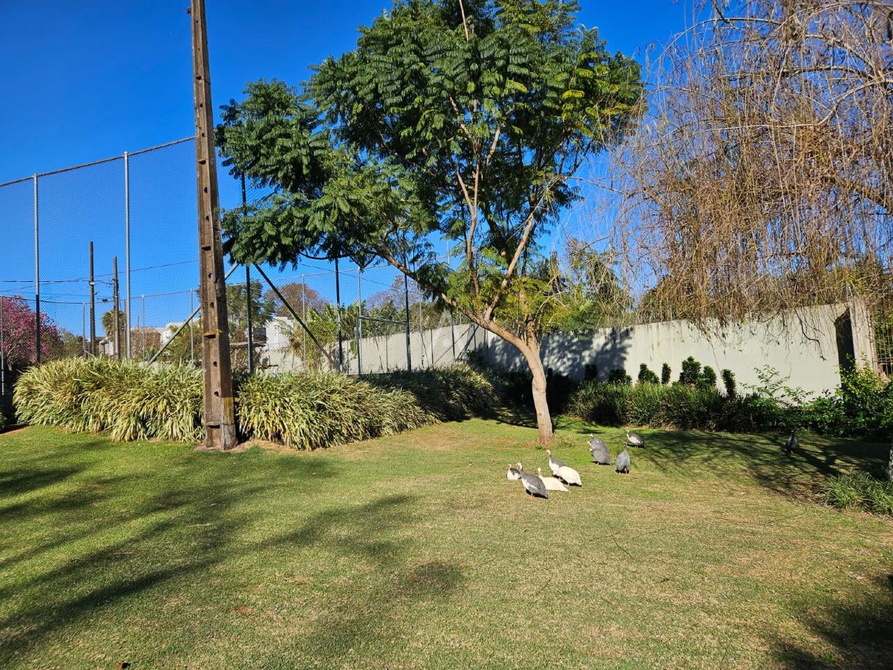 Terreno para à venda no Bairro ALTO ALEGRE em CASCAVEL: 