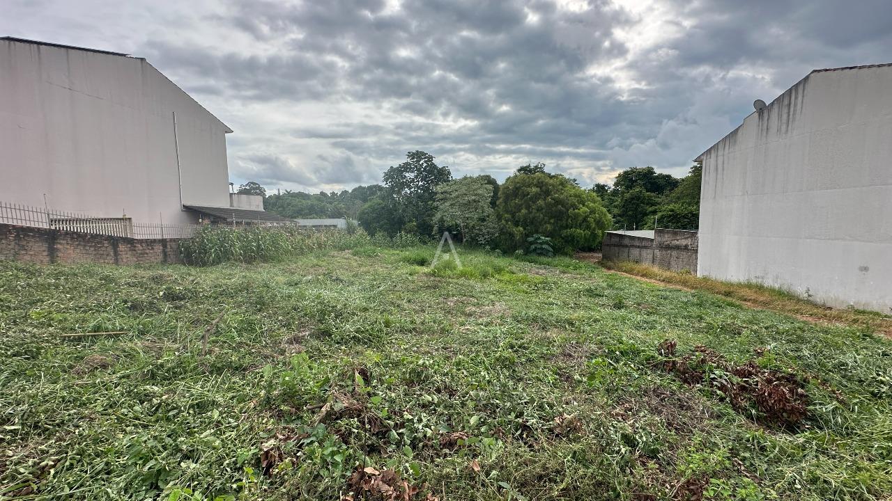 Terreno para à venda no Bairro RECANTO TROPICAL em CASCAVEL: 