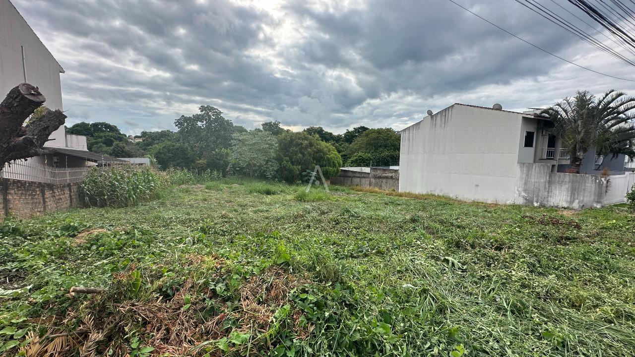 Terreno para à venda no Bairro RECANTO TROPICAL em CASCAVEL: 