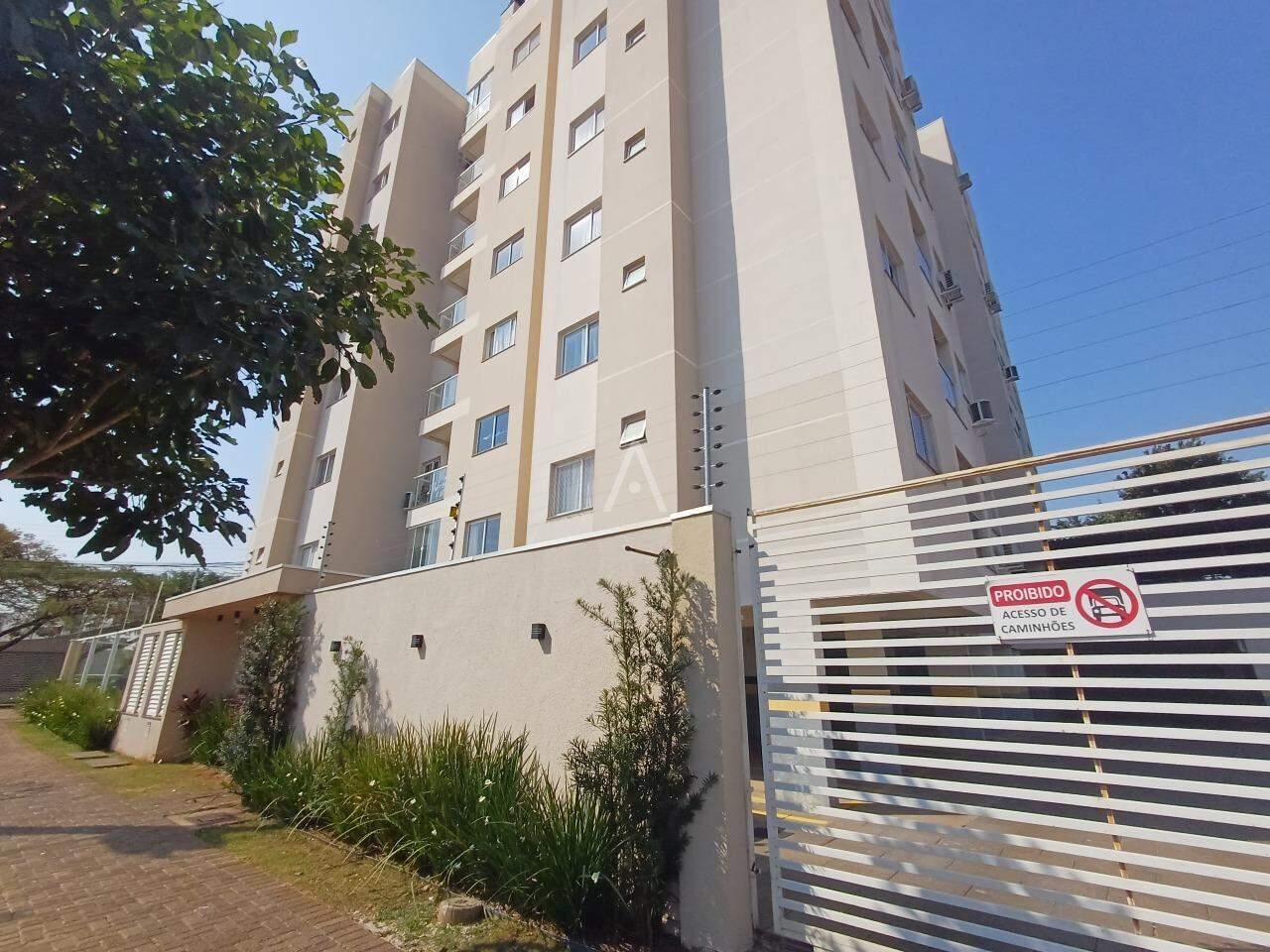 Apartamento para para aluguel no Bairro CANCELLI em CASCAVEL: 