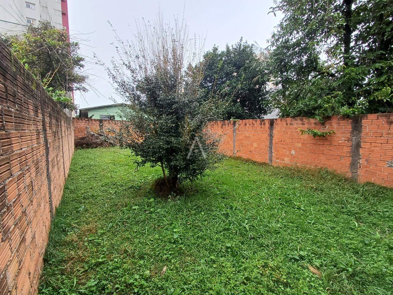 Casa Comercial para para aluguel no Bairro CENTRO em CASCAVEL: 