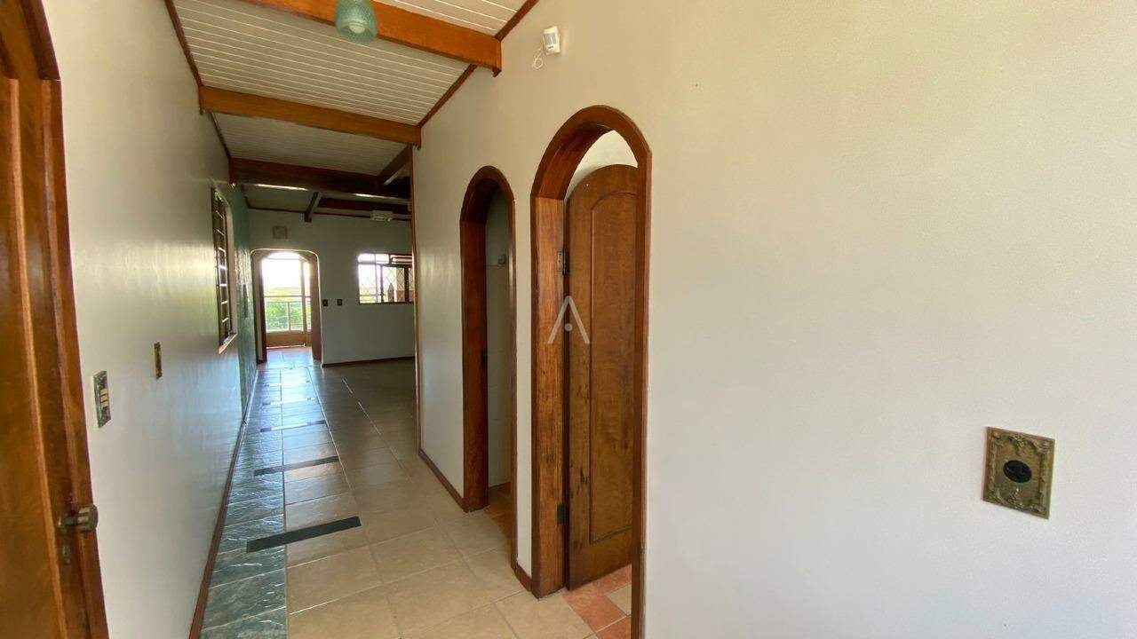 Apartamento para para aluguel no Bairro ALTO ALEGRE em CASCAVEL: 