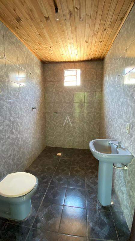Apartamento para para aluguel no Bairro ALTO ALEGRE em CASCAVEL: 