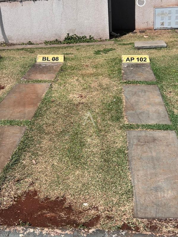 Apartamento para para aluguel no Bairro FLORESTA em CASCAVEL: 